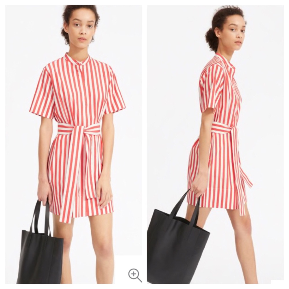 Everlane button Down shirt dress